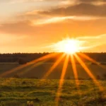 Sécheresse, canicule. Impact sur les fosses