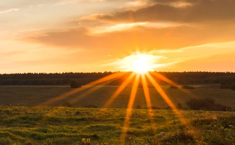 Sécheresse, canicule. Impact sur les fosses