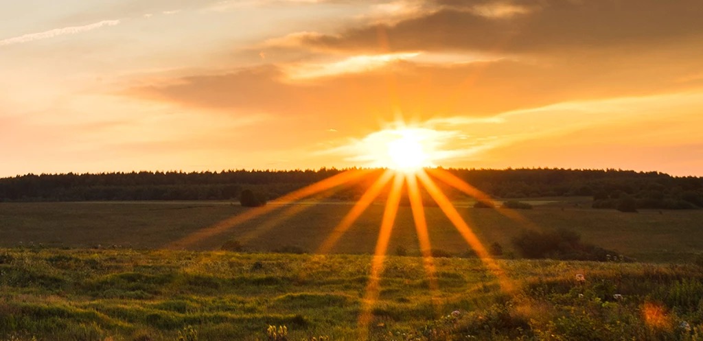 Sécheresse, canicule. Impact sur les fosses